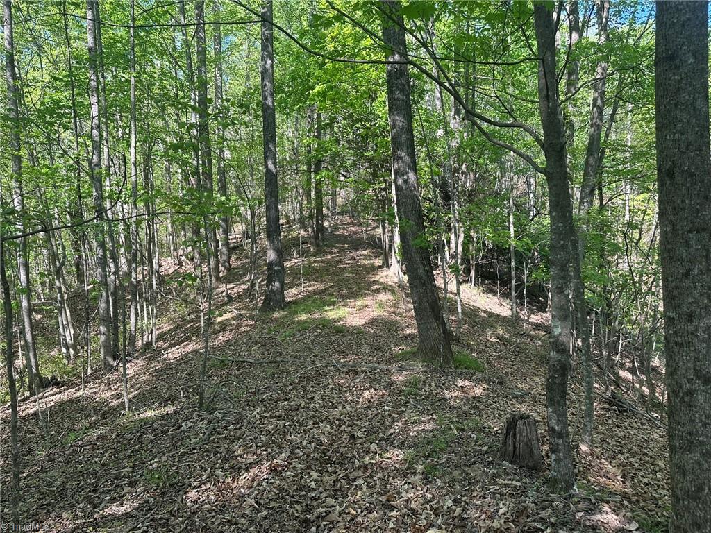 000 Nc Highway 268 Property Photo 42
