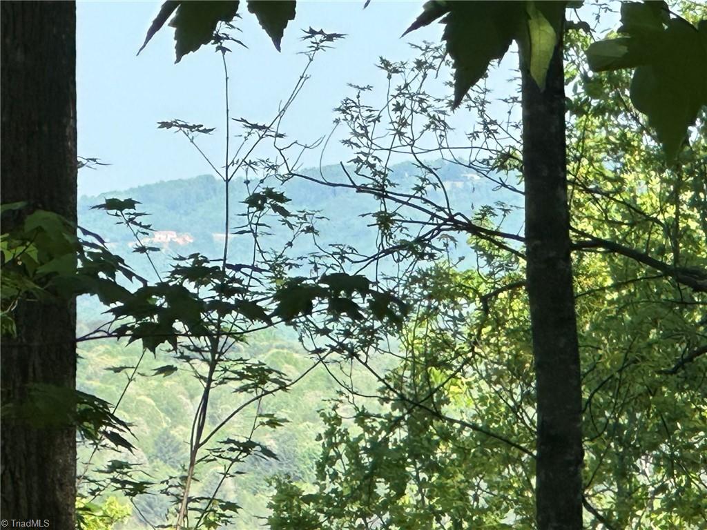 000 Nc Highway 268 Property Photo 43