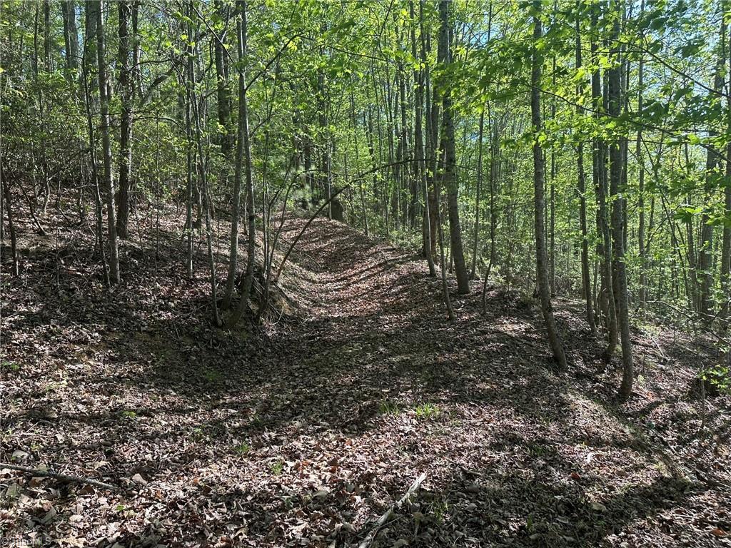 000 Nc Highway 268 Property Photo 45