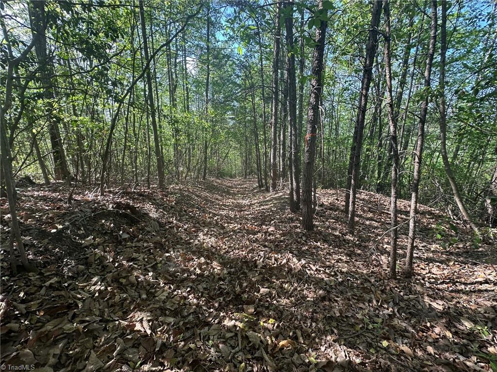 000 Nc Highway 268 Property Photo 46