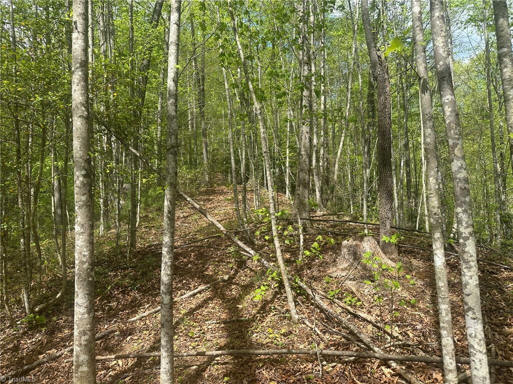 000 Nc Highway 268 Property Photo 47