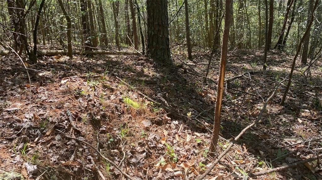 000 Nc Highway 268 Property Photo 49