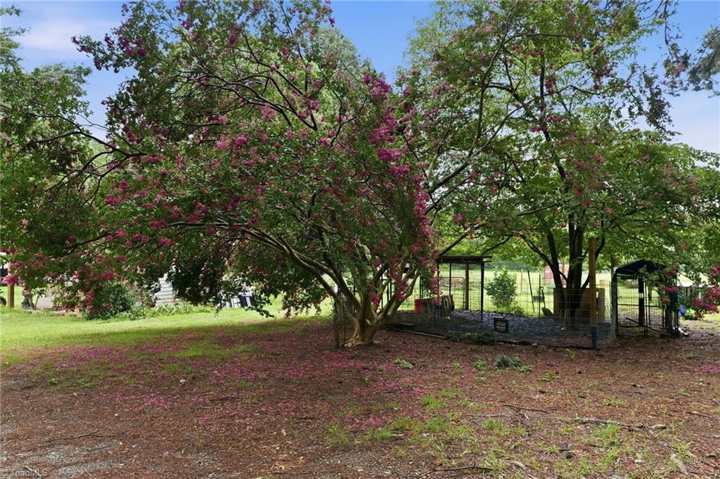8643 Nc Highway 150 Property Photo 10