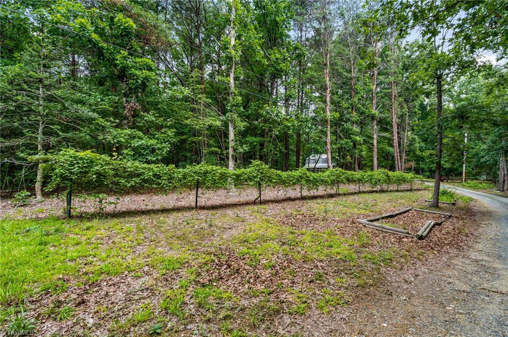 505 Tipperary Lane Property Photo 32
