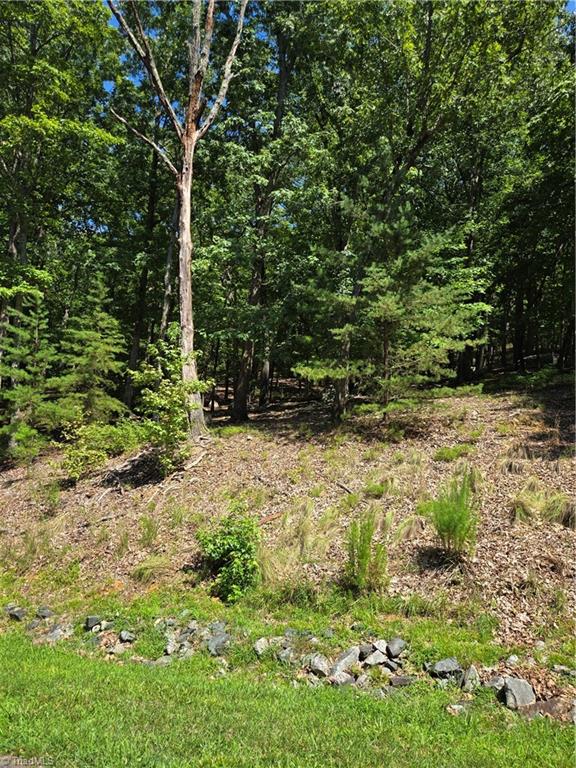 377 Pinnacle Trail Property Photo 3