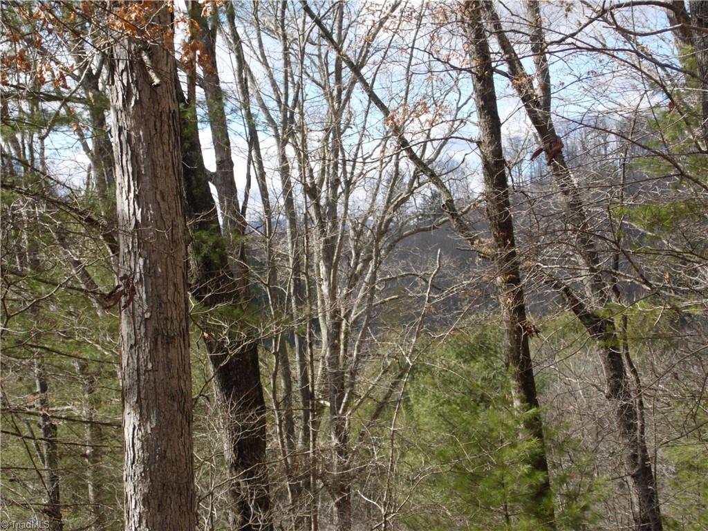 Tbd Happy Woods Road Property Photo 5