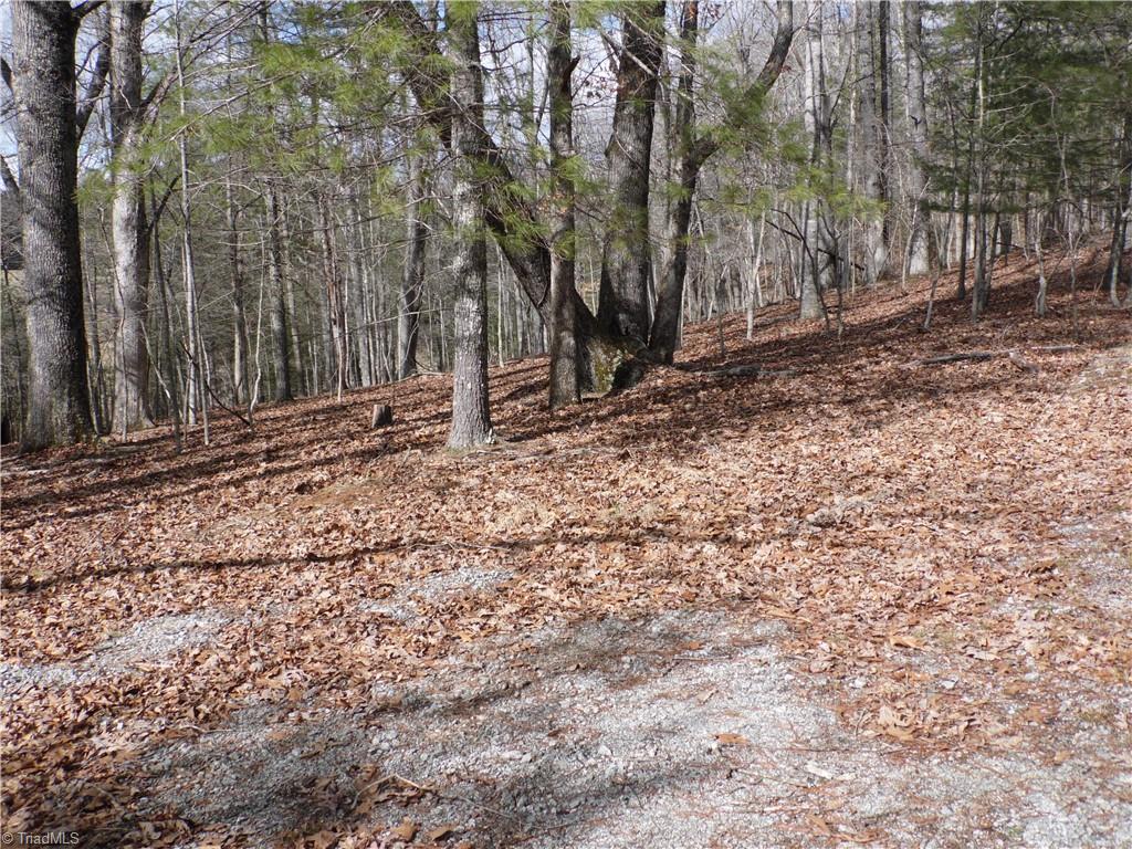 Tbd Happy Woods Road Property Photo 6