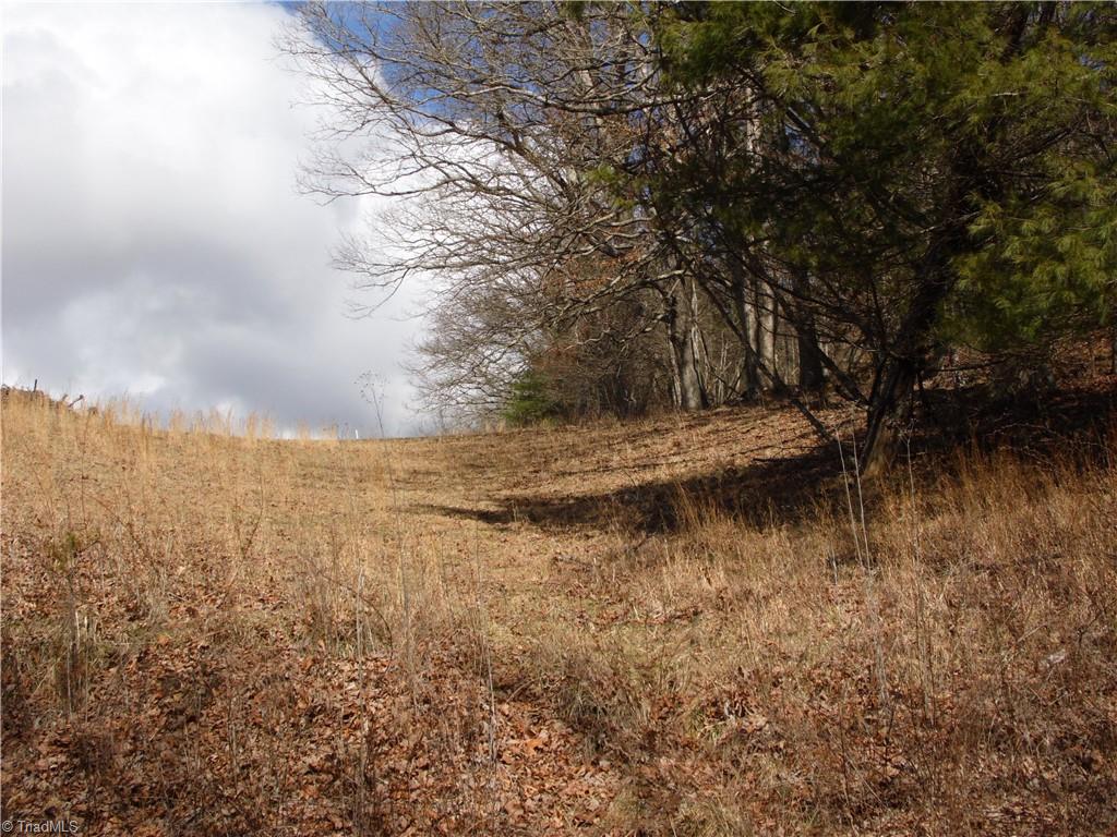 Tbd Happy Woods Road Property Photo 7