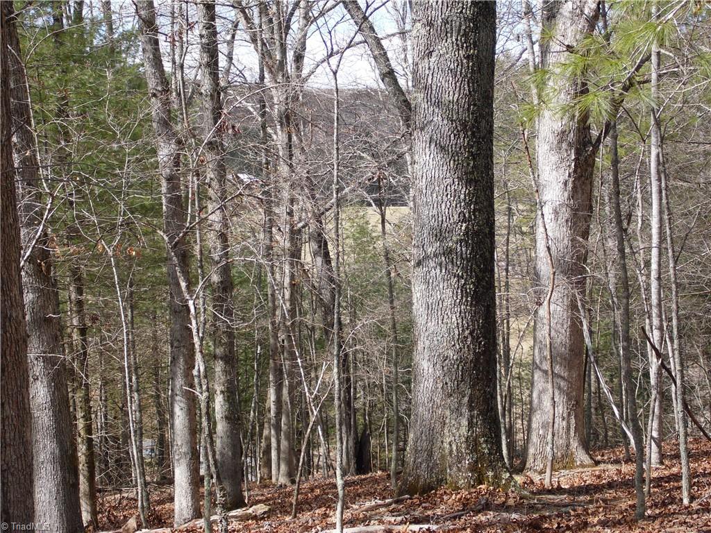 Tbd Happy Woods Road Property Photo 8