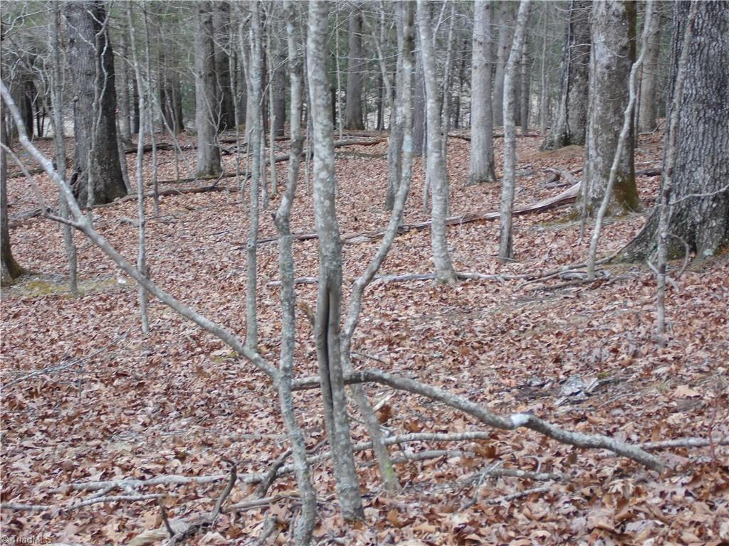 Tbd Happy Woods Road Property Photo 10
