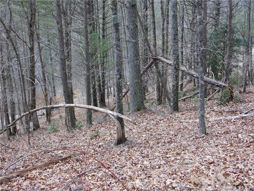 Tbd Happy Woods Road Property Photo 13