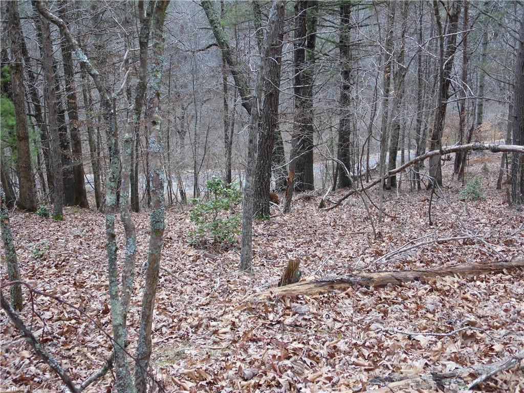 Tbd Happy Woods Road Property Photo 14