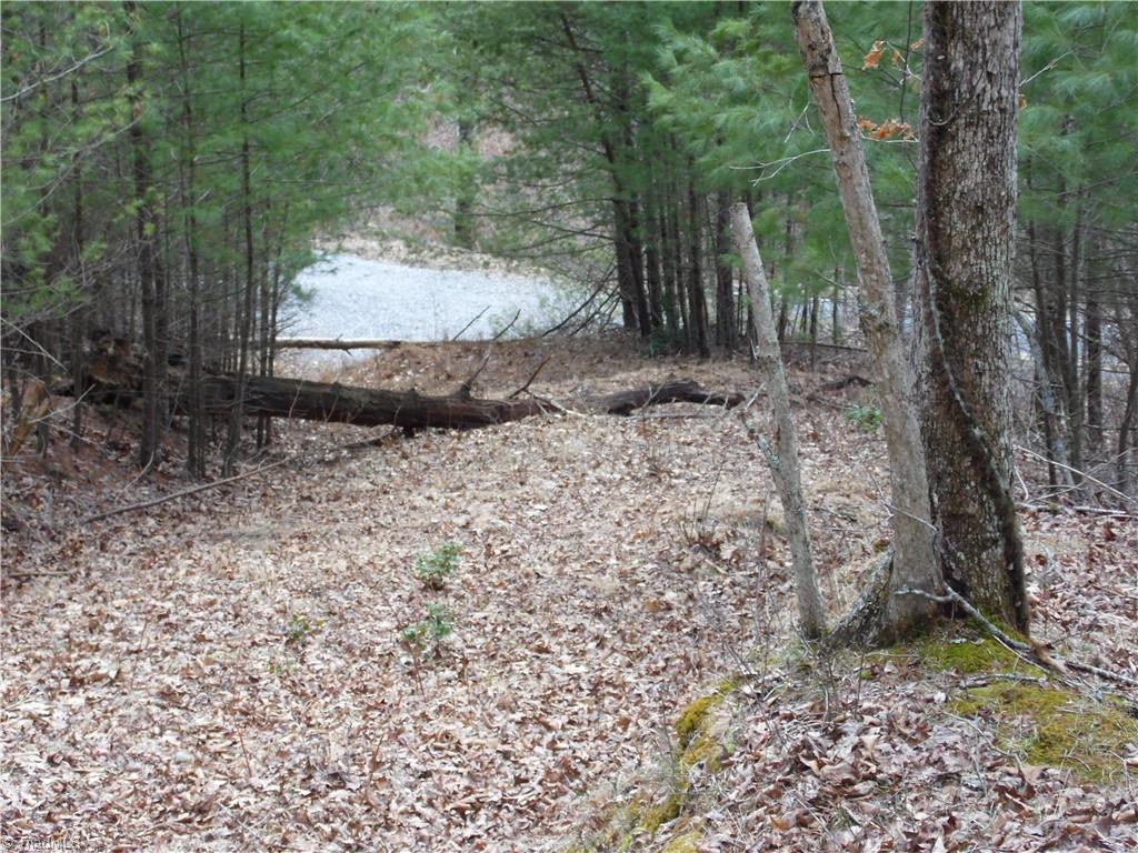 Tbd Happy Woods Road Property Photo 15