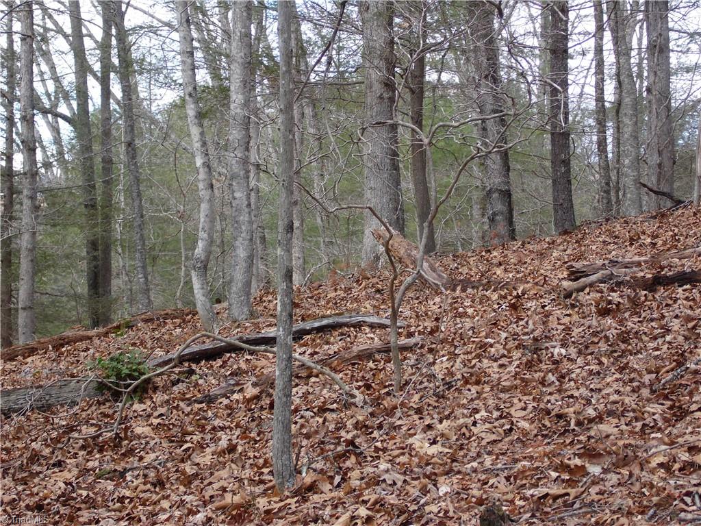 Tbd Happy Woods Road Property Photo 16