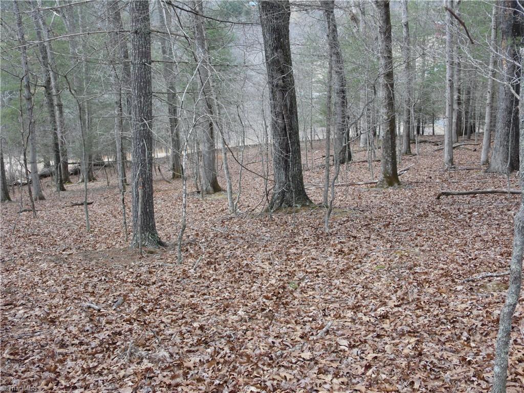 Tbd Happy Woods Road Property Photo 17