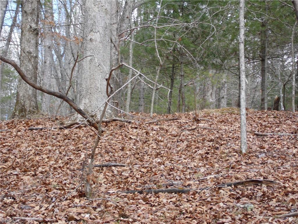 Tbd Happy Woods Road Property Photo 18