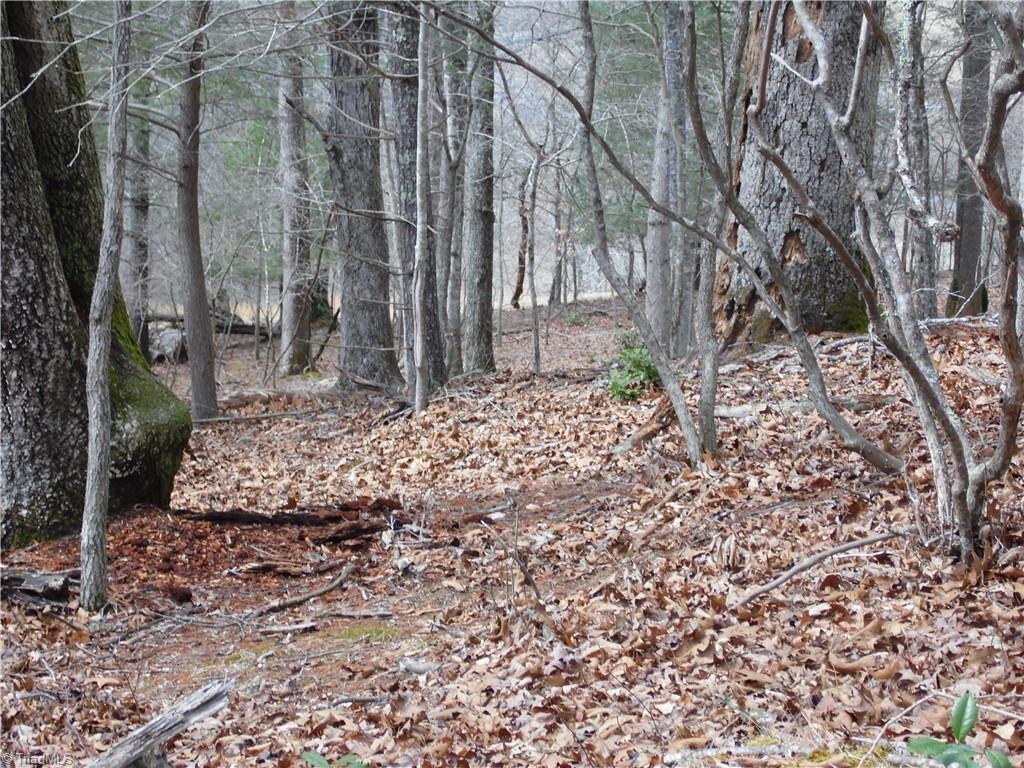 Tbd Happy Woods Road Property Photo 19