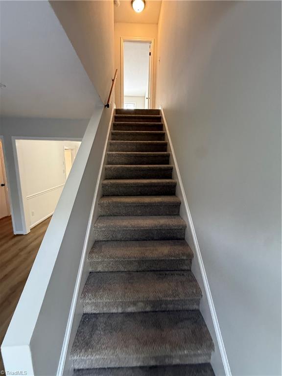 1905 Winding Ridge Road Property Photo 14