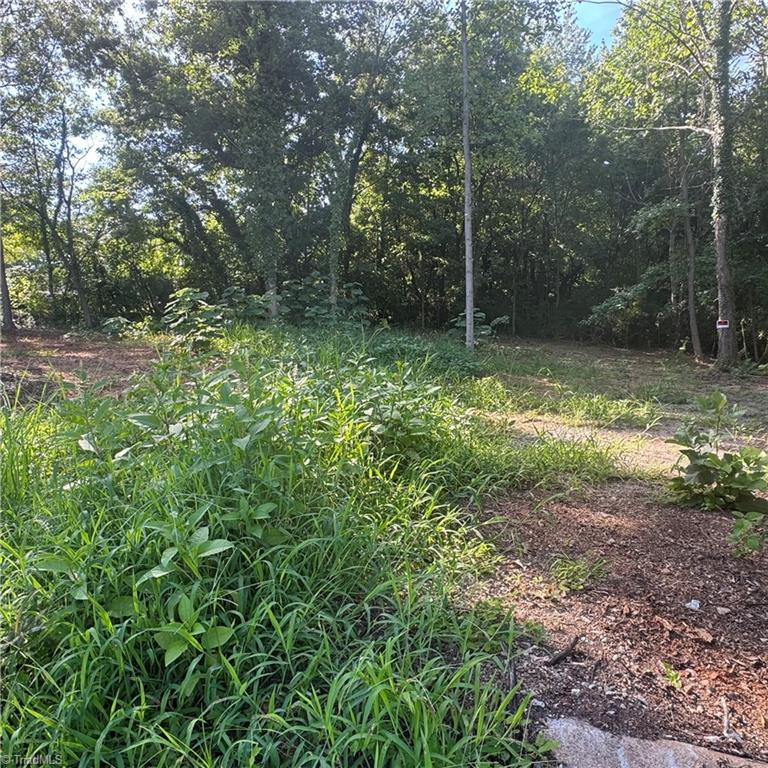 1570 Bethel Drive Property Photo 4