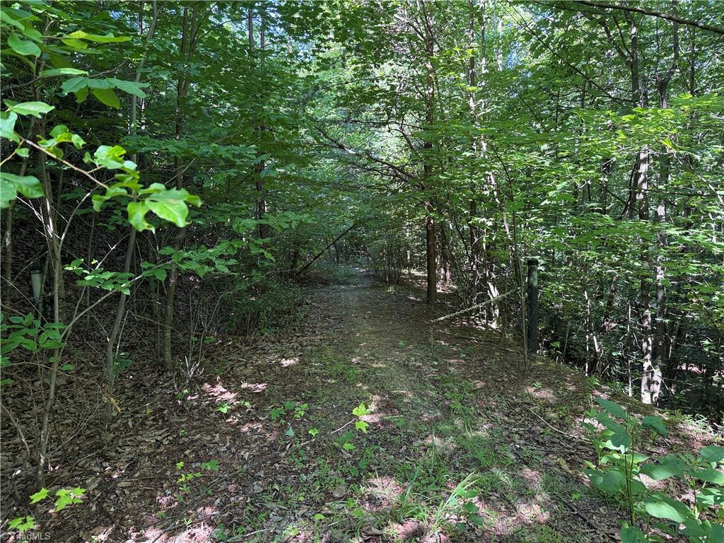 Lot 222 Casey Mountain Road Property Photo 2