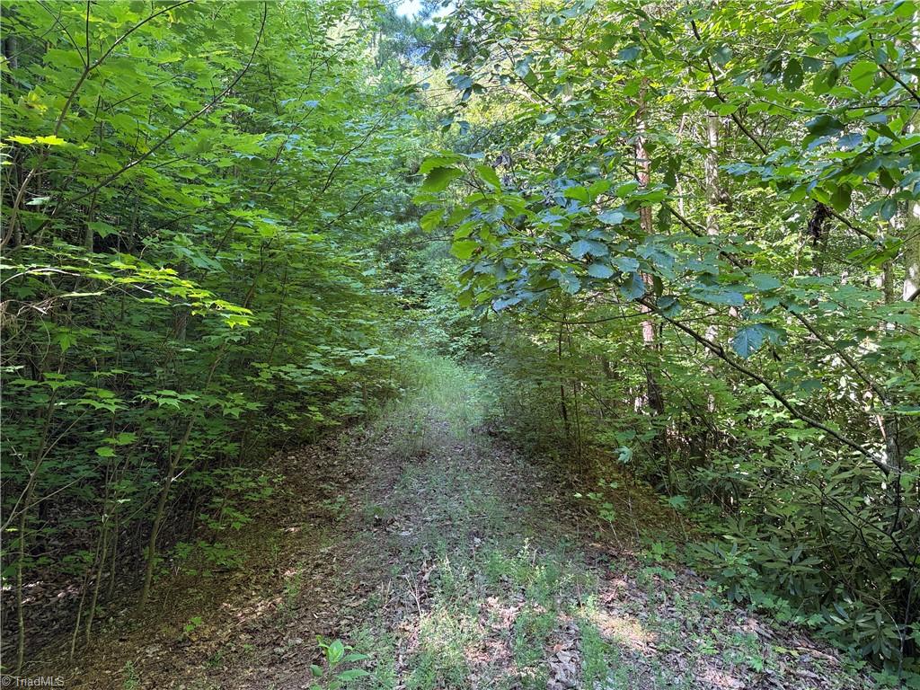 Lot 222 Casey Mountain Road Property Photo 4