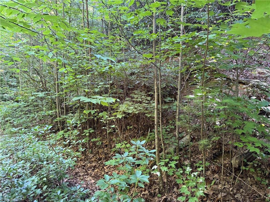 Lot 222 Casey Mountain Road Property Photo 5