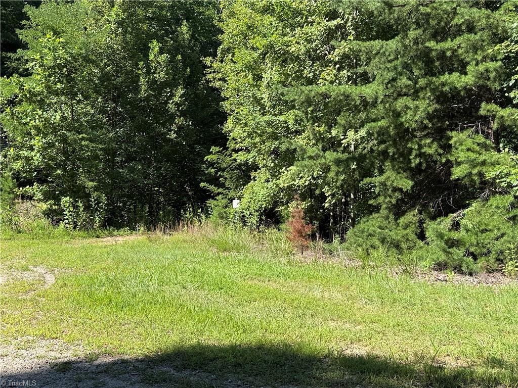 Lot 222 Casey Mountain Road Property Photo 6