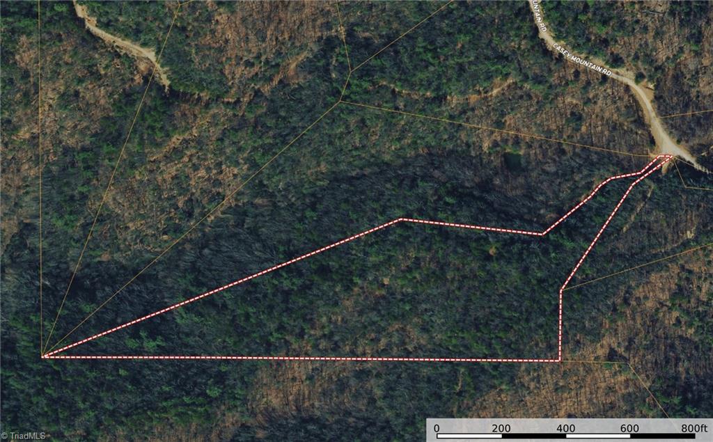 Lot 222 Casey Mountain Road Property Photo 7