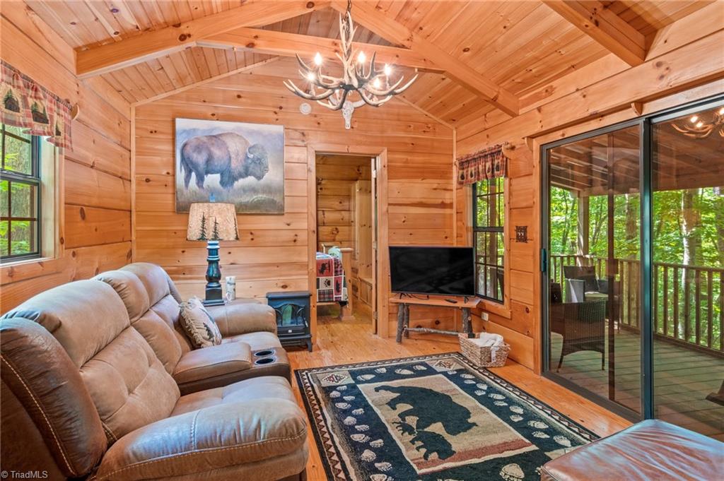 157 Wolf Trail Property Photo 4