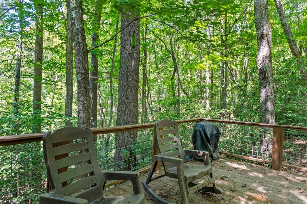 157 Wolf Trail Property Photo 19