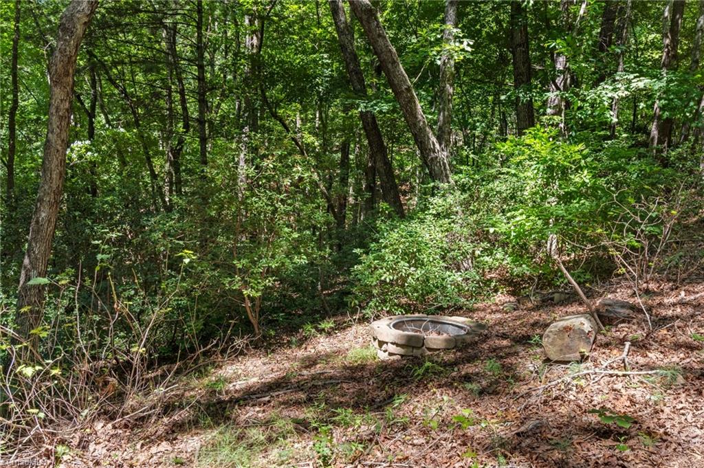 157 Wolf Trail Property Photo 22