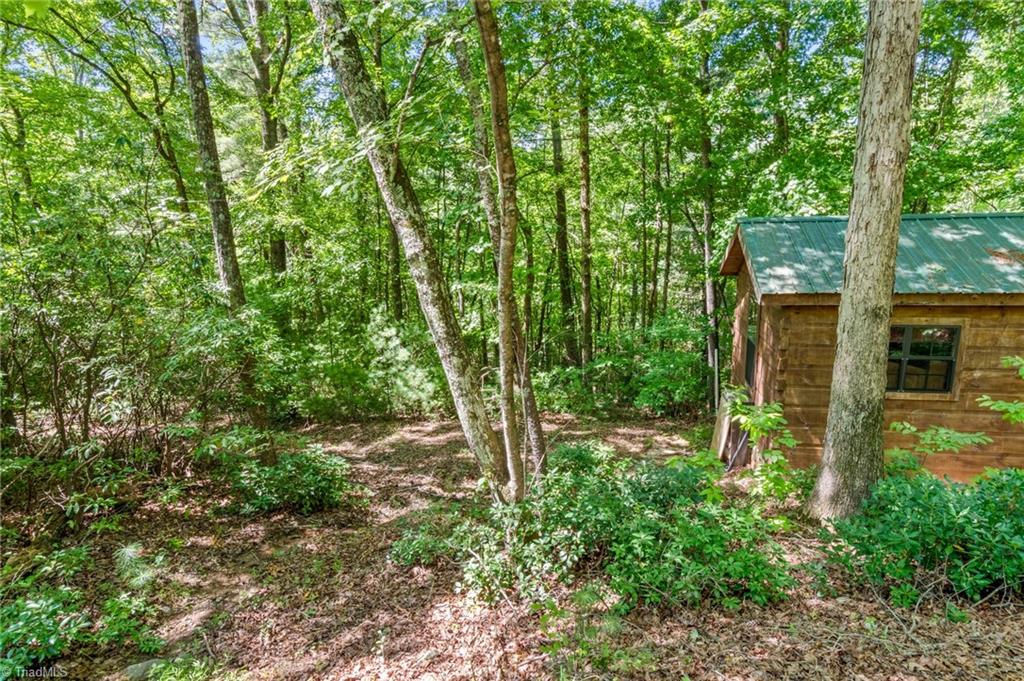 157 Wolf Trail Property Photo 26