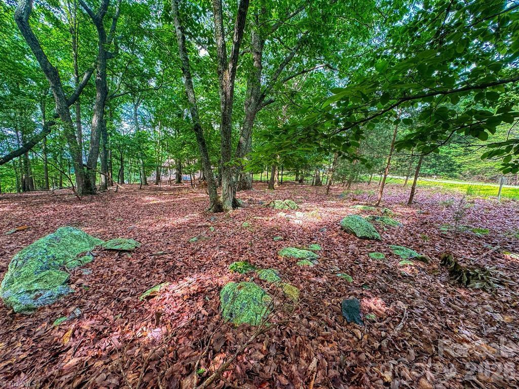 1616 Sierra Trace Road Property Photo 13