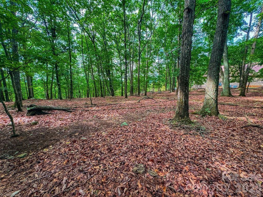 1616 Sierra Trace Road Property Photo 14