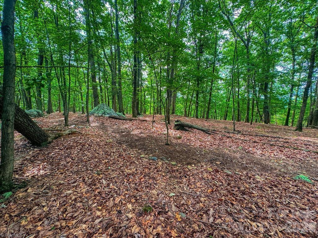 1616 Sierra Trace Road Property Photo 15