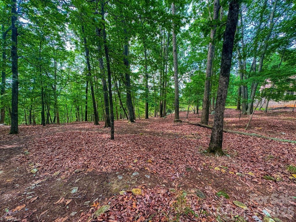 1616 Sierra Trace Road Property Photo 17