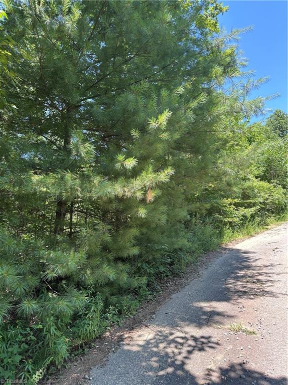 3960 Winston Drive Property Photo 1