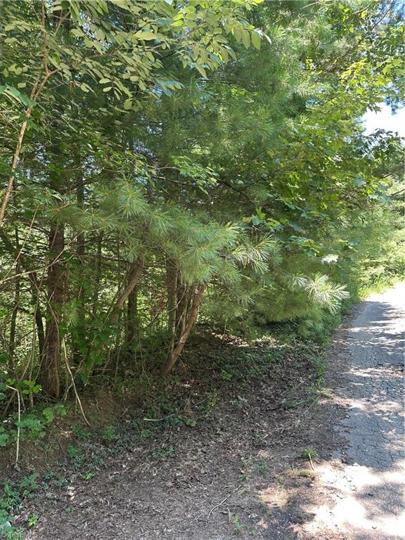 3960 Winston Drive Property Photo 2