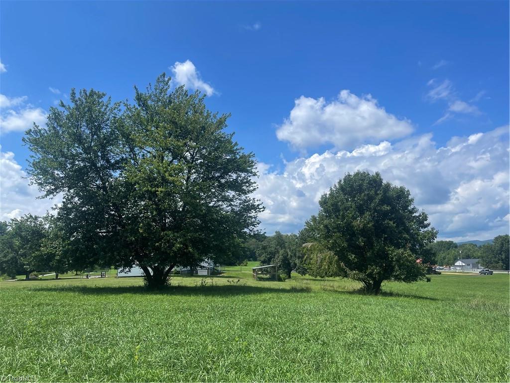 1213 Old Highway 21 Property Photo 12