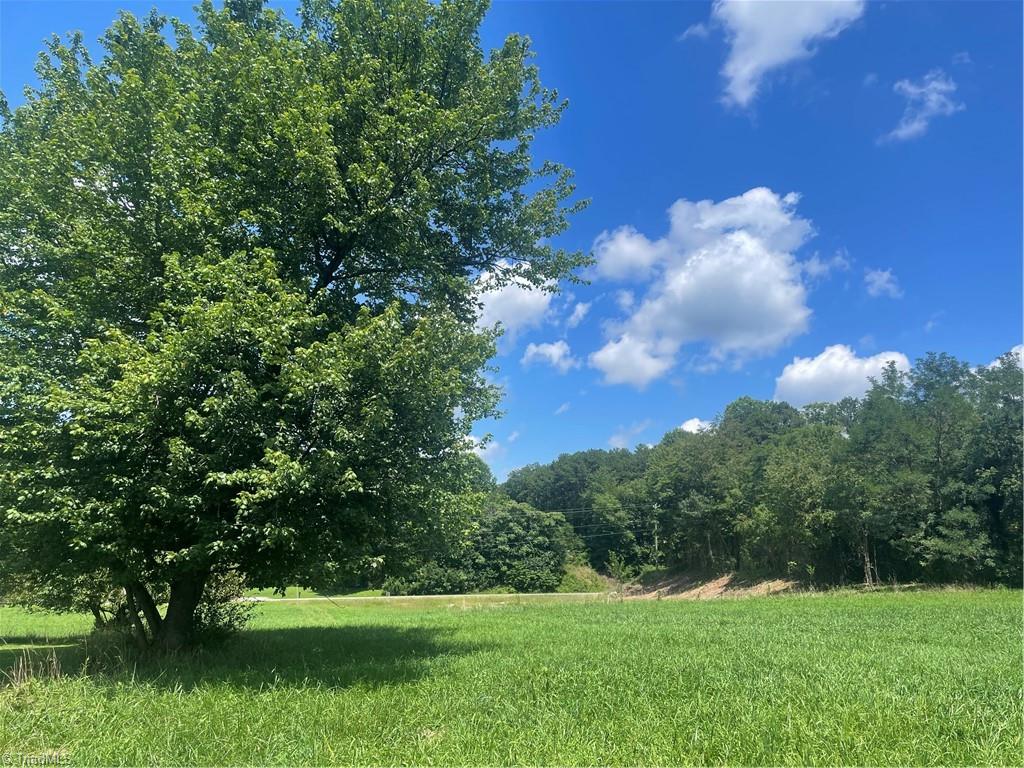 1213 Old Highway 21 Property Photo 14