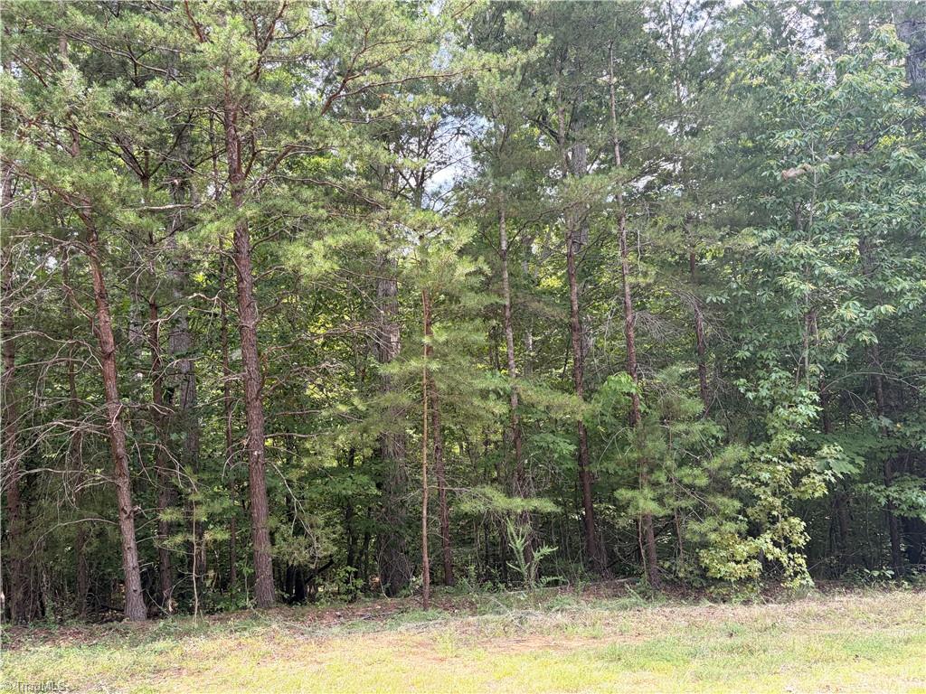 135 Glenrobin Drive Property Photo 3