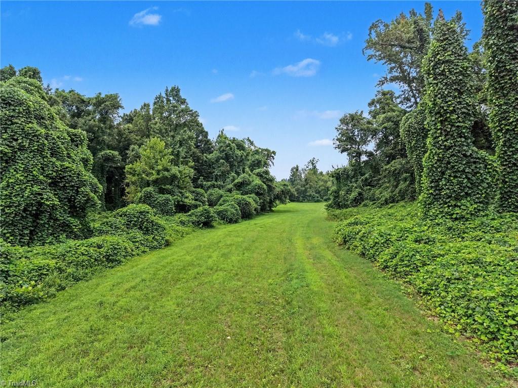543 Bald Hill Loop Road Property Photo 3