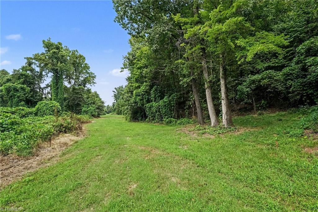 543 Bald Hill Loop Road Property Photo 5