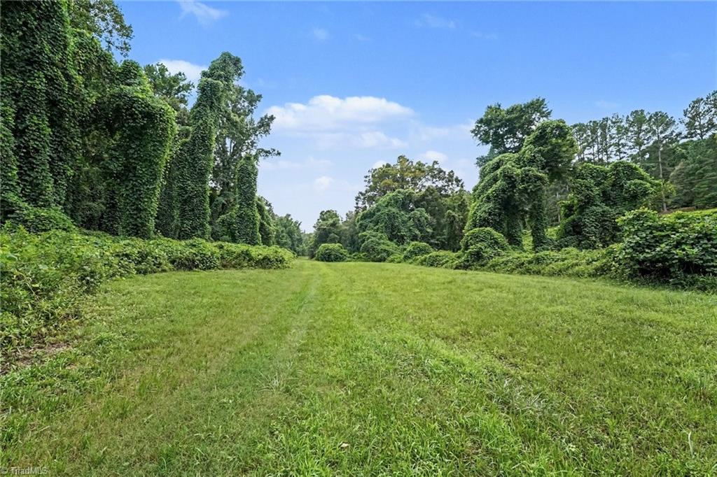 543 Bald Hill Loop Road Property Photo 8