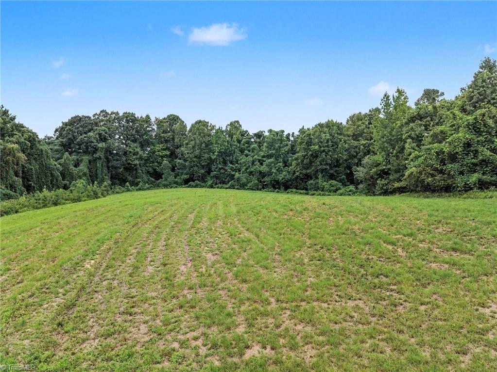 543 Bald Hill Loop Road Property Photo 9