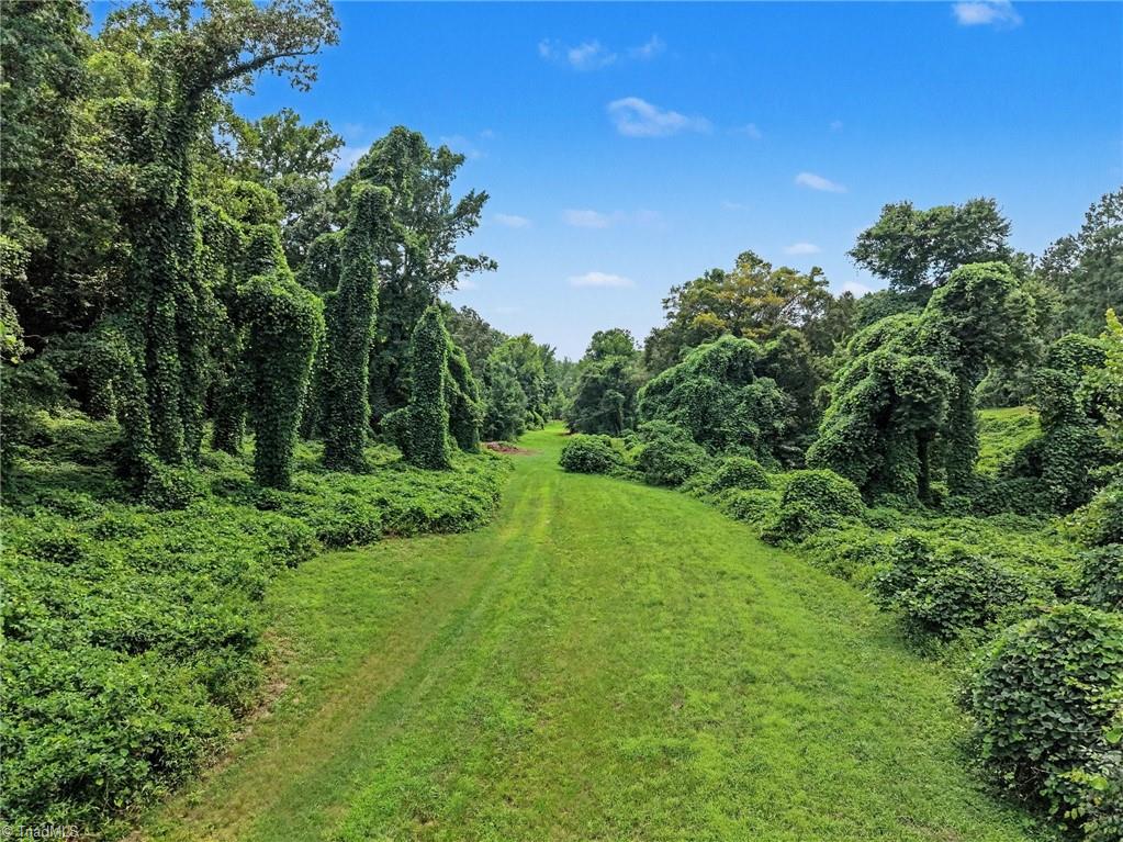 543 Bald Hill Loop Road Property Photo 10