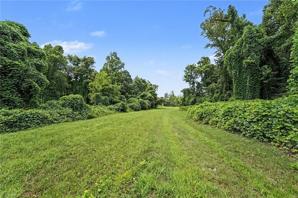 543 Bald Hill Loop Road Property Photo 23