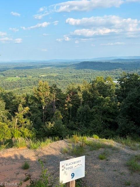 Lot #9 Widow Mountain Drive Property Photo 1