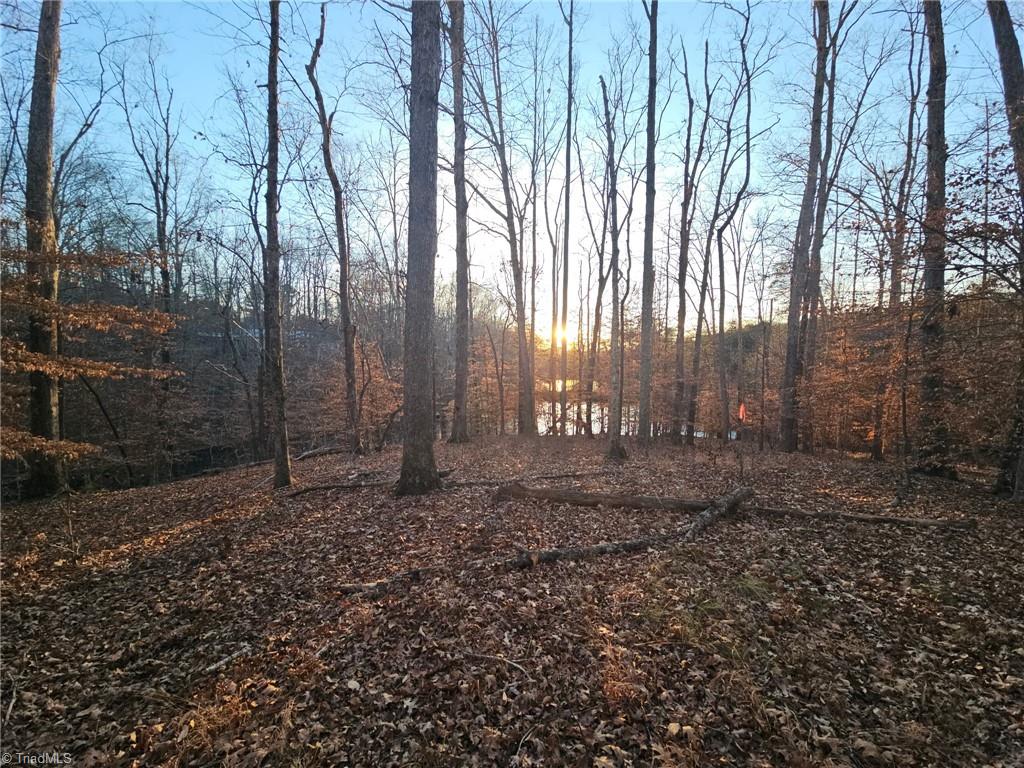 0 Massey Creek Road Property Photo 6