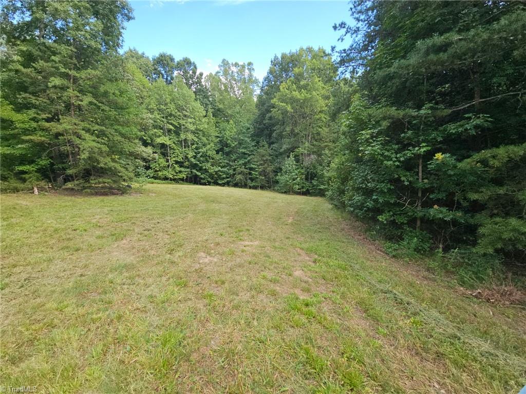 0 Massey Creek Road Property Photo 7